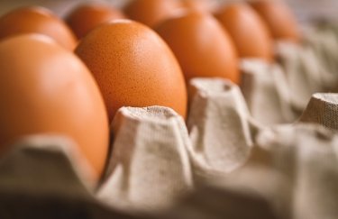 Еврокомиссия готовится ввести импортные пошлины на украинские яйца и сахар