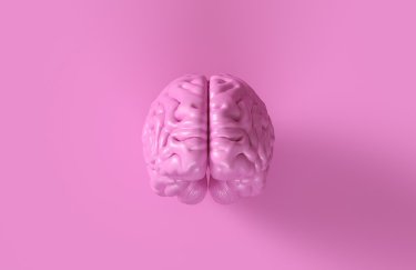 10 мифов о работе нашего мозга
