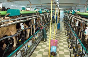 Українські молочники закликали Кабмін до дзеркальної заборони імпорту молочної продукції з Польщі