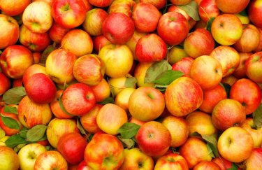 Экспорт яблок из Украины почти в 10 раз превышает импорт