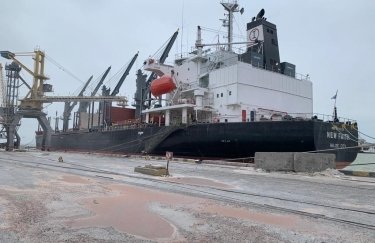 За добу простою судна з українською агропродукцією у Босфорі трейдери втрачають від $20 тисяч