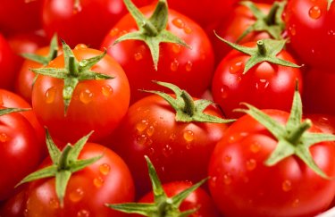 В Украине дорожают томаты из-за перебоев со снабжением