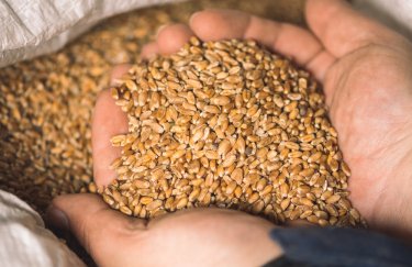 Пшениця подорожчала до максимуму за 3 місяці на тлі ескалації ситуації в Україні