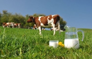 Франции из-за засухи грозит дефицит молока в ближайшие месяцы