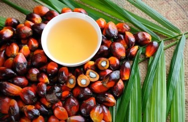 Индонезия запрещает экспорт пальмового масла из-за дефицита продукта в стране