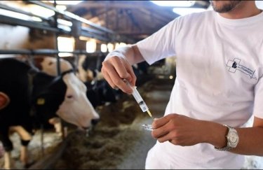 В Украине ужесточают контроль за использованием антибиотиков в ветеринарии