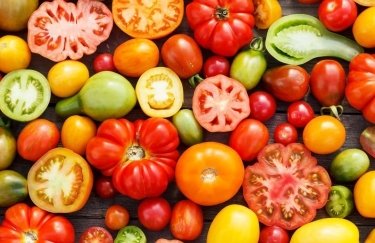 Россия подозревает Беларусь в поставке запрещенных томатов