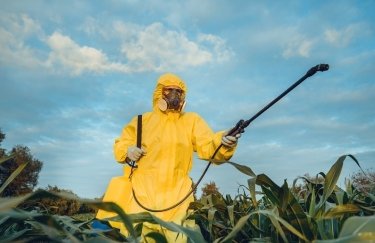 Обработка кукурузы пестицидами. Фото: zerno-ua.com
