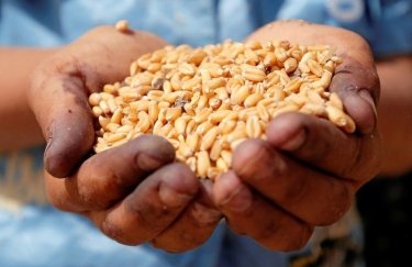 Украинские аграрии экспортировали 24 млн тонн зерновых