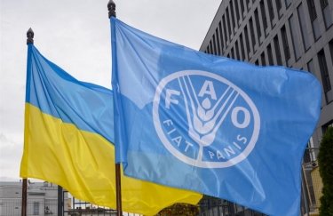 Кабмин договорился с Продовольственной организацией ООН о создании ее офиса в Украине