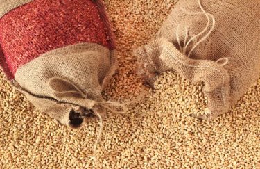 У лютому Україна встановила рекорд з експорту пшениці