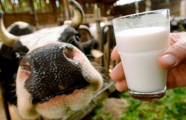 Во Львовской области создадут молочный кооператив
