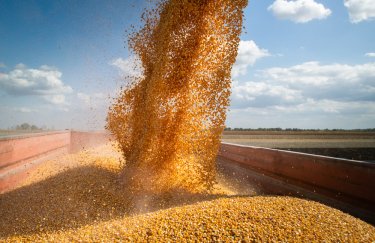 Для закупівлі українського зерна США внесуть майже $70 млн до WFP