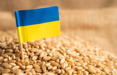 В Минагрополитики объясняют падение экспорта зерновых и масличных в январе на 20% блокировкой "зернового коридора" РФ