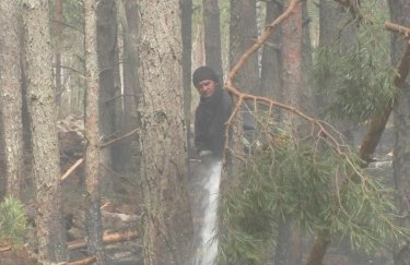 Ликвидация лесного пожара. Фото: ГСЧС