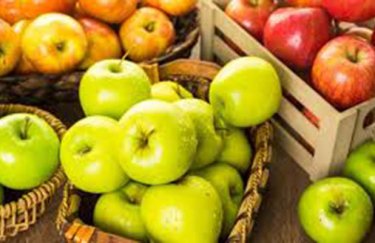 Украина бьет рекорды по экспорту яблок