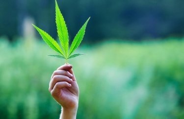 Соответствующее решение Комитета ВР было принято единогласно Соответствующее решение Комитета ВР было принято единогласно