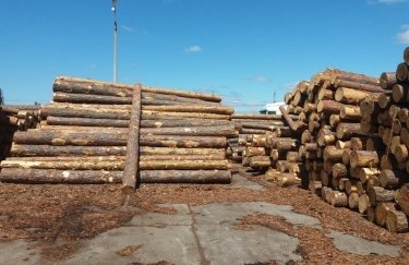 К 1 февраля в Украине должен заработать централизованный учет древесины — Гончарук