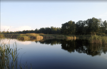 Чиновники разворавали заповедные земли у озера "Конча" Фото: Скриншот Google
