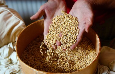 Україні брак зерна не загрожує, оскільки це фізично неможливо, - Маркіян Дмитрасевич