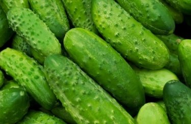 На рынке дешевеют тепличные огурцы / Freepik огурцы
