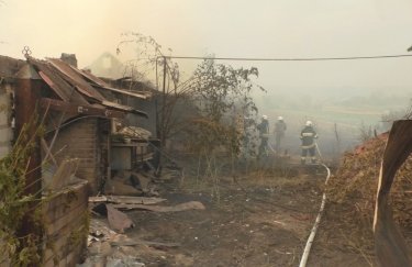 Лесной пожар в Луганской области. Фото здесь и далее: ГСЧС