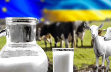 молочная отрасль в Украине, рынок молока