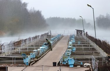 ФАО надасть допомогу для розвитку аквакультури в Сумській області: які умови