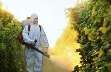 Химиотерапия: спрос на основные пестициды падает, на препараты против вредителей — растет