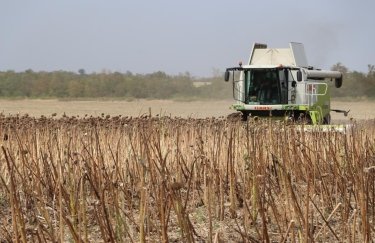 В МінАПК відзвітували, скільки гречки, соняшнику та кукурудзи вже зібрано