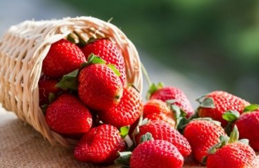 В Украине снижаются цены на клубнику: сколько стоит ягода