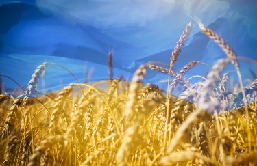 россия ворует украинское зерно