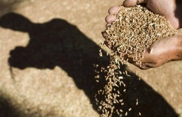 РФ планирует вывозить зерно с оккупированных территорий Украины в Китай