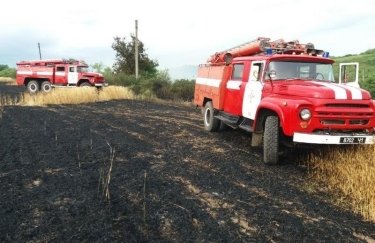 В Донецкой области пожар уничтожил 50 га посевов пшеницы и ячменя