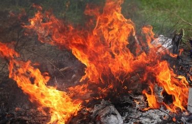 В Украине в ближайшие дни сохранится чрезвычайная пожарная опасность
