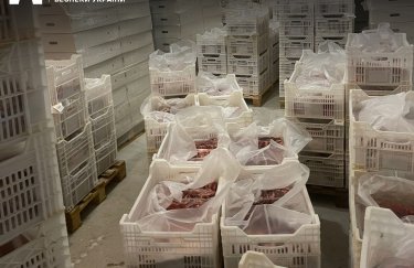 Производители консервов для Минобороны получили подозрения из-за схемы с закупкой мяса у ФЛП (ФОТО)