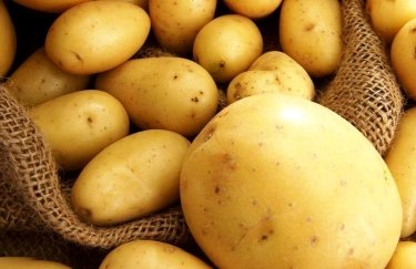 Из-за российской агрессии херсонские фермеры продают ранний картофель за бесценок