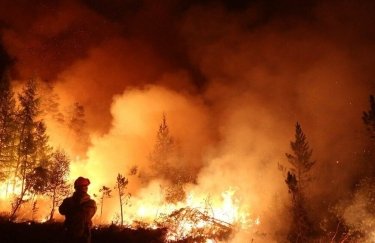 На Канарах из-за лесных пожаров эвакуировали около тысячи человек