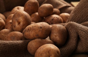 В Украине снова дешевеет картофель: по какой цене поступает в продажу