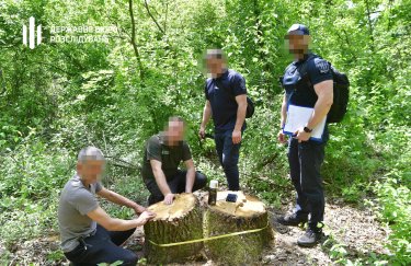 В нацпарке "Куяльницкий" весной вырубили деревьев на 80 миллионов: подозрение получил директор лесхоза (ФОТО)