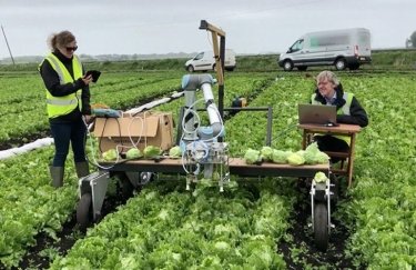 В Англии создали робота-фермера, который собирает салат (ВИДЕО)