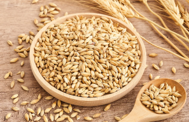 Українська пшениця зросла в ціні через підвищення попиту на світовому ринку