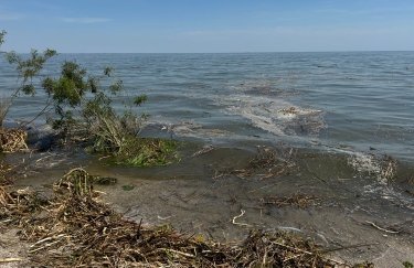 На пляжах Одессы нашли сальмонеллу и кишечную инфекцию