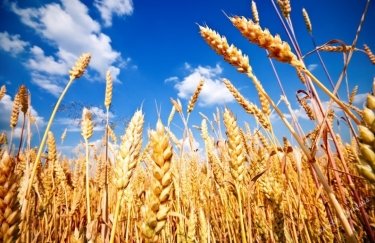 Черновецкий планирует купить агропредприятие в Украине