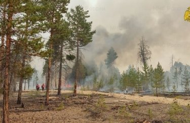 В Якутии выгорели миллионы гектаров. Фото: МЧС РФ