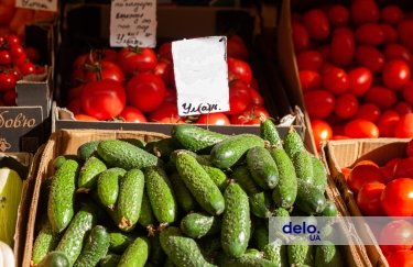 В Україні черговий обвал цін на огірки: яка вартість