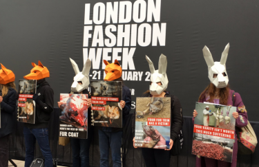 Натурального меха больше не будет на Неделе моды в Лондоне