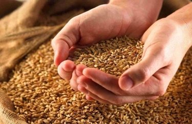 Украина отправила на экспорт уже более 42 млн тонн зерна