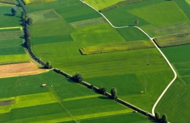 Земельні аукціони на Київщині та Кіровоградщині: сума переможних ставок зросла у 8 разів, перевищивши 32 млн грн