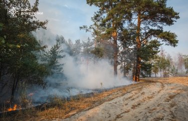 пожар, лес, украина, обстрел, лиманское лесничество